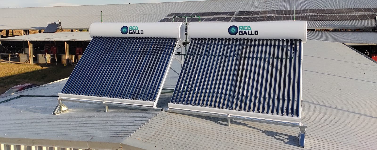 Servicios RED GALLO